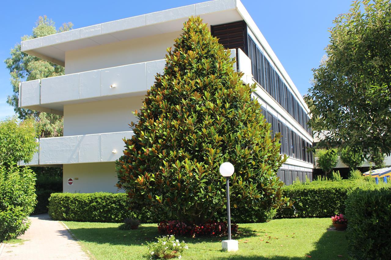 Magnolia